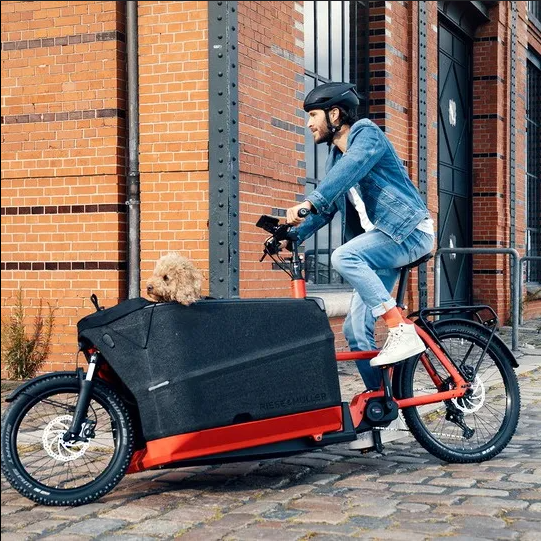 Bakfietsen/Transportfietsen