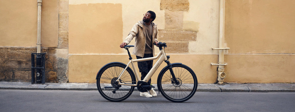 Riese & Muller Culture