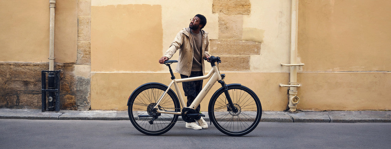 Riese & Muller Culture