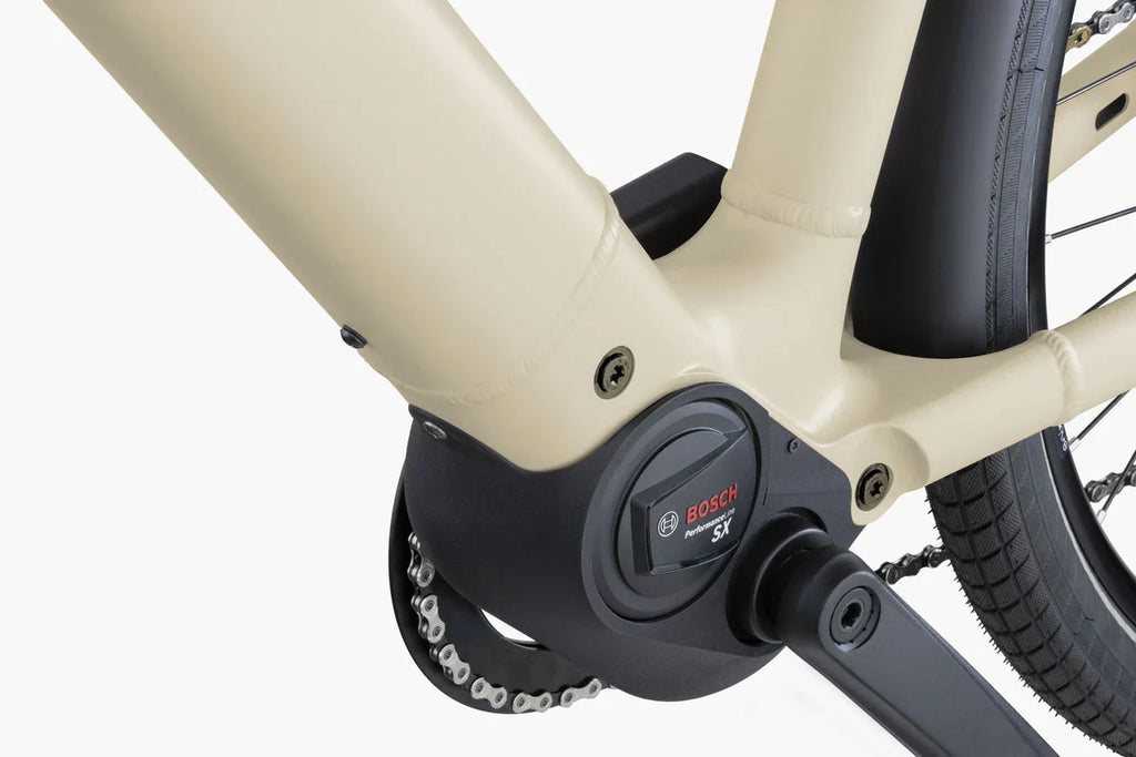 Riese & Muller Culture