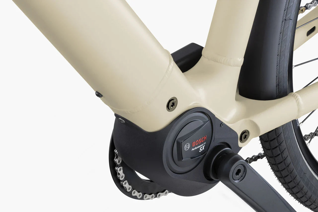 Riese & Muller Culture